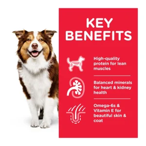 Senior dog food Hill’s pet nutrition. Hrana za kucinja postari Senior