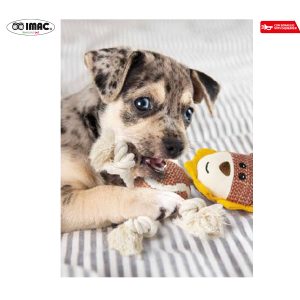 monkey-toy-for-dogs-icc313-B