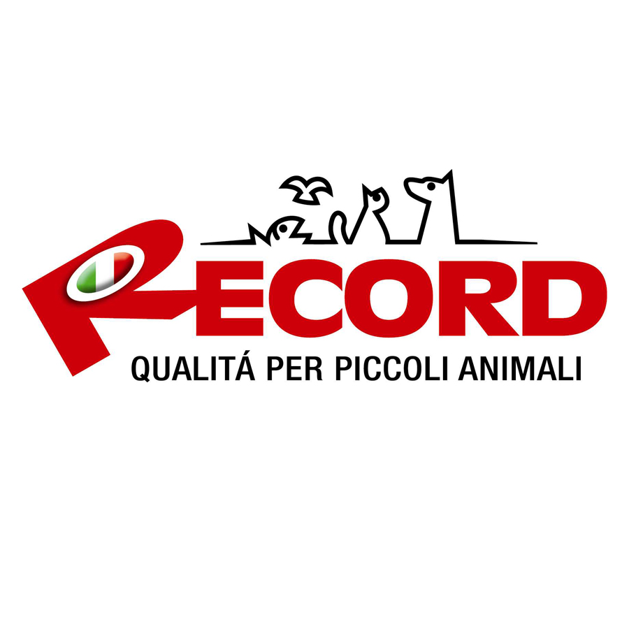 record-logo-B-900x900