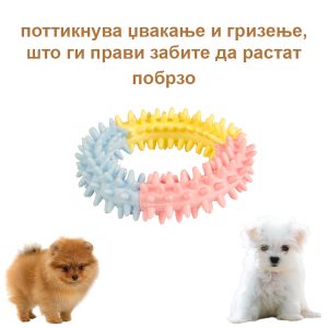 puppy-ring-2-1717069
