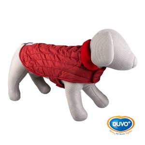 Pet-Shop-Mona-dog-jacket-Classy