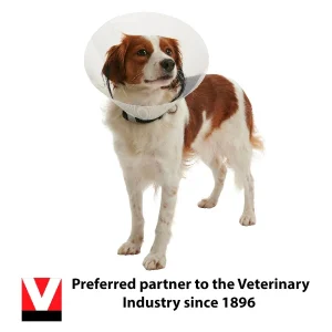 Dog Recovery Collars & Cones