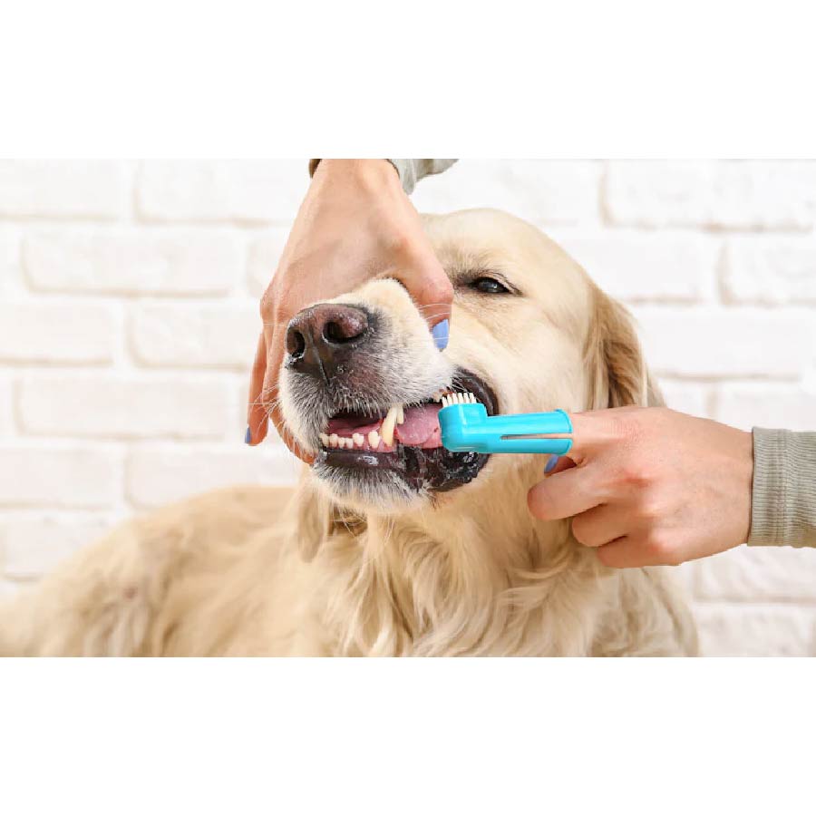 pet-shop-mona-toothpaste-for-dogs-and-cats-3