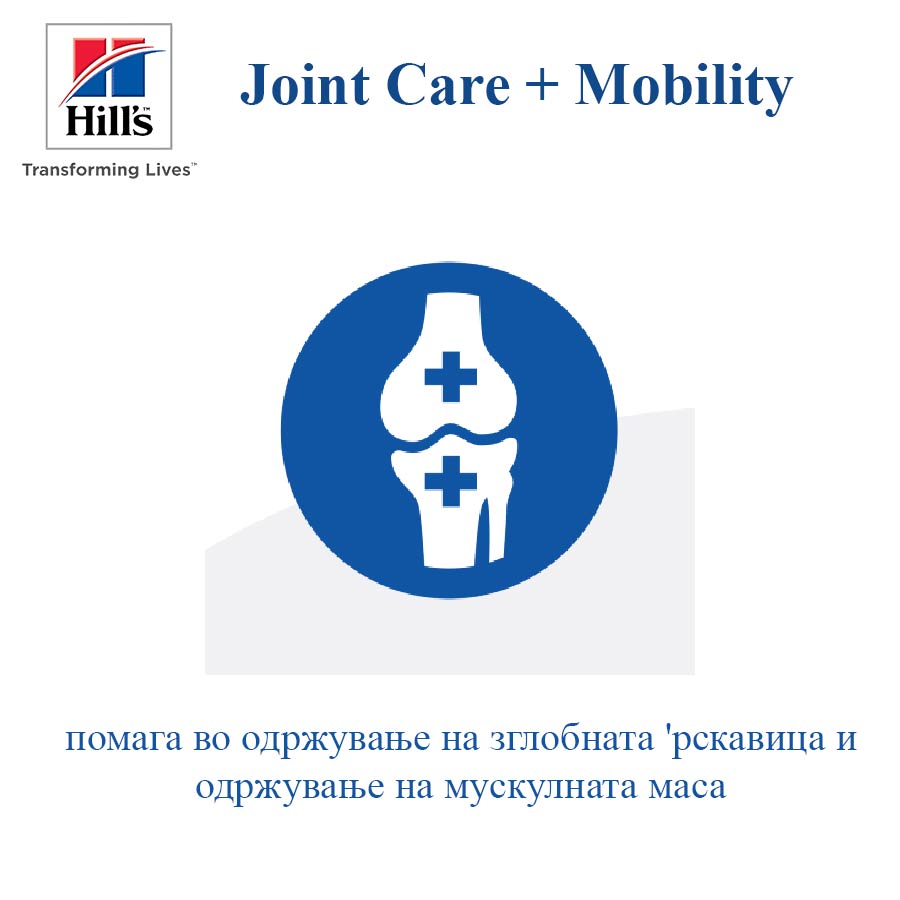 pet-shop-mona-Hills-dog-joint-care-mobility–5