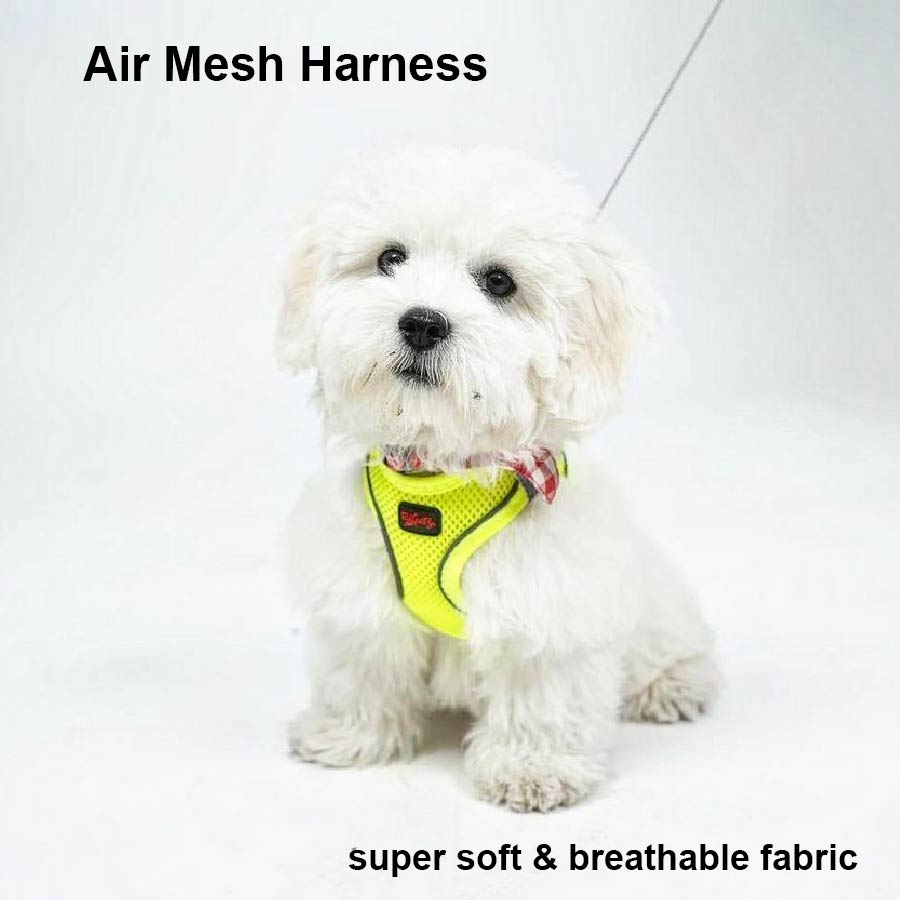 pet-shop-mona-air-mesh-harness-Neon-3