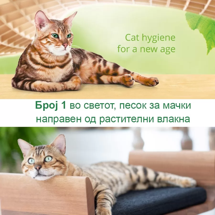pet-shop-mona-pesok-za-macki-cat-best-original-5