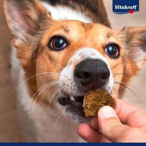 dog treats Skopje bag on a shelf at Pet Shop Mona